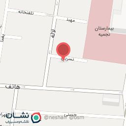 عکس هنرکده نقره ناب