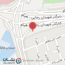 عکس تاکسی بیسیم 133