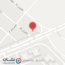 عکس دکتر سیده نجمه علوی