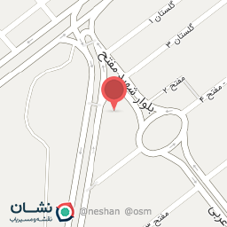 عکس تهیه غذای مشتی ( مرتضوی سابق )