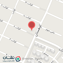 عکس تهیه غذای جوجه ترافیک 