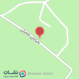 عکس گل فروشی fittonia