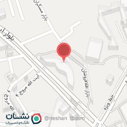 عکس نقره آیشم