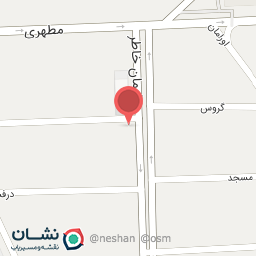 عکس مرغ سوخاری آریو