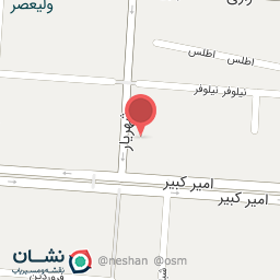 عکس کیف و کفش کوکو