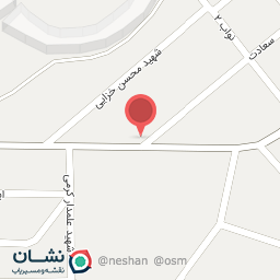 عکس تعویض روغنی ادیب فر