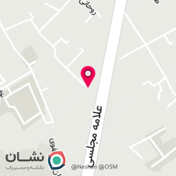 عکس کباب بریانی سالار
