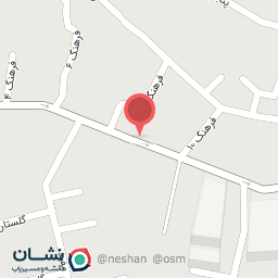 عکس کفش محسن