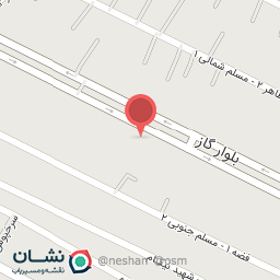 عکس پیتزا پیز پز