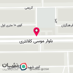 عکس برنج و خشکبار کاج
