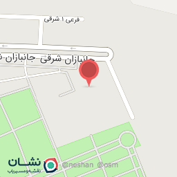 عکس گل زیتون