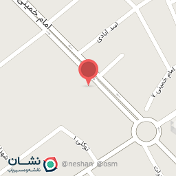 عکس گوشت منجمدصادقی