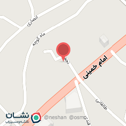 عکس کیف و کفش سارا