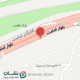 عکس پیتزا شانی