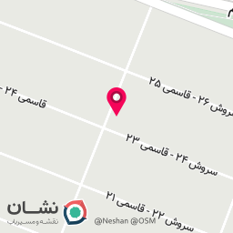 عکس دکتر فائزه رجبی گل