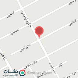 عکس فروشگاه زانیکو