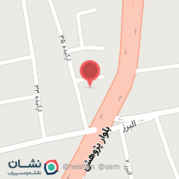 عکس تزئینات اتومبیل مجتدزاده