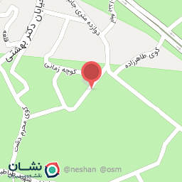 عکس قصابی ملک