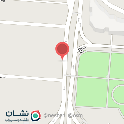 عکس مرغ بریان