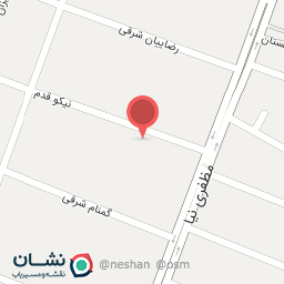 عکس الری هنری مینوک