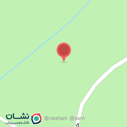 عکس گل فروشی fittonia