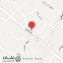 عکس دکتر فرنگیس نشیبی