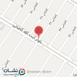 عکس فست فود میشا