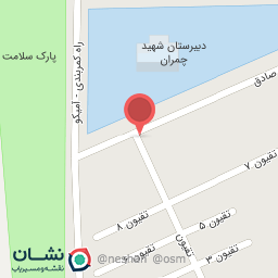 عکس تاکسی تلفنی بانوان ارس