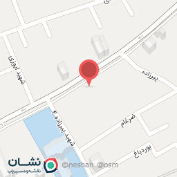 عکس فرش و تابلو فرش سلمانزاده