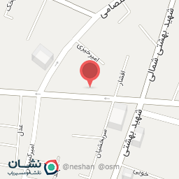 عکس پیتزا دلفین