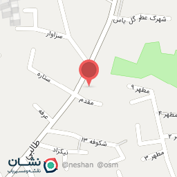 عکس ظروف یکبار مصرف پاسارگارد