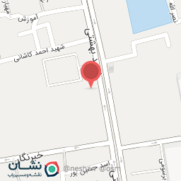 عکس پیتزا کیان‌منش