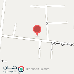 عکس کیف و کفش گلپوش