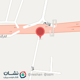 عکس پروتئینی رایان