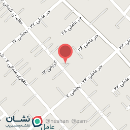 عکس کفش نگاره