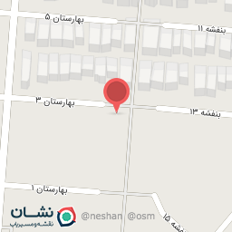 عکس پیتزا ریحون