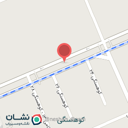 عکس دکتر مهرنوش گیفانی