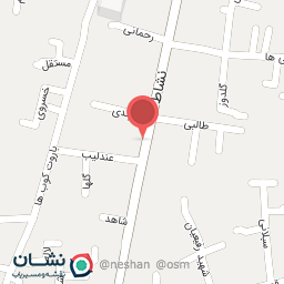 عکس خدمات حفاظتی دوربین مداربسته رصد 