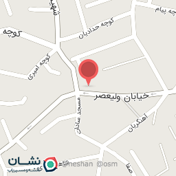 عکس پرنده فروشی شهر قناری