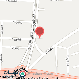 عکس فروشگاه بزرگ برادران علیلو