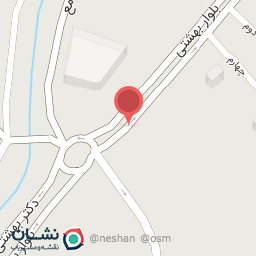 عکس پیتزا گل یخ