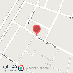 عکس سوپر نصیریان