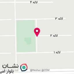 عکس امیر شاورما 