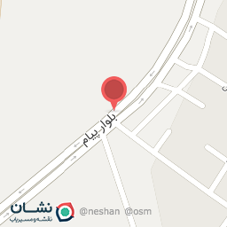 عکس کارشناسی رنگ خودرو بختیاری