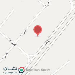 عکس پیتزا حمید