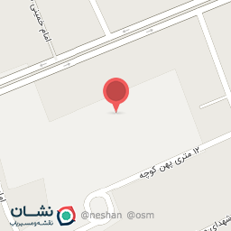 عکس پیتزا دالیا