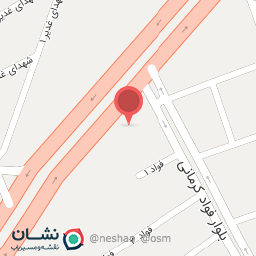 عکس تهیه غذا روهینا