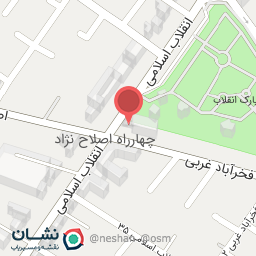 عکس کفش ملی 1721