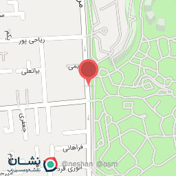 عکس آقا پیتزا