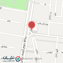 عکس پیتزا پیتزا پلاس شعبه طامه